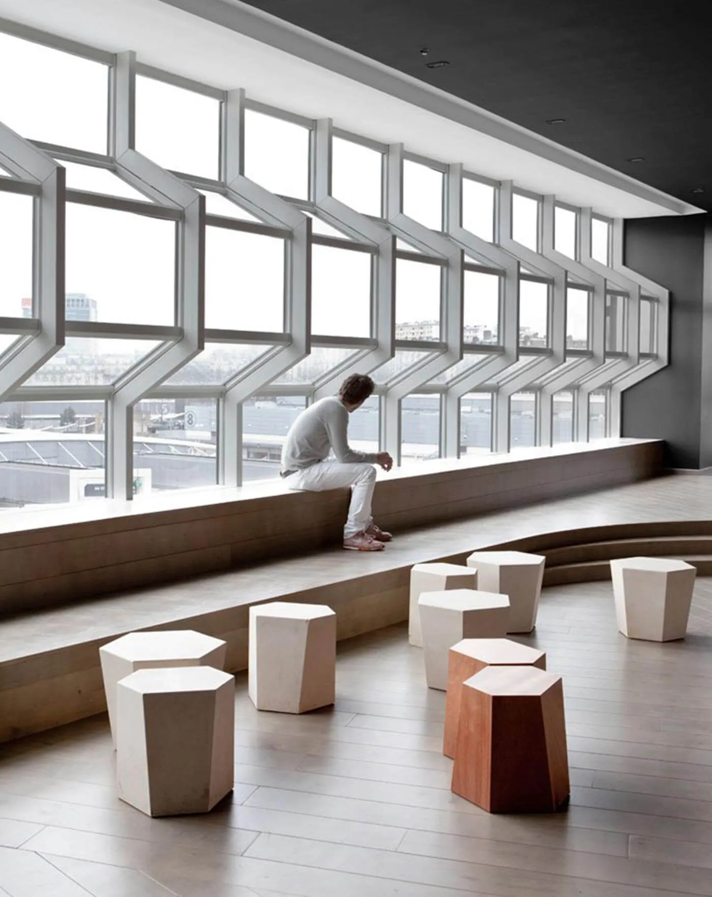 progetto Electric Cultural Centre - Parigi